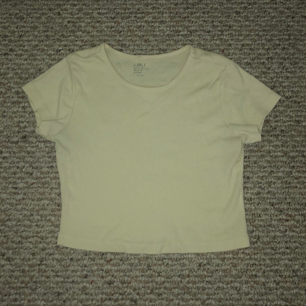 Brandy Melville Crop Top